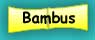 Bambus